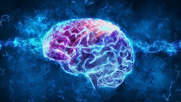 2. Память, которая помогает человеку запоминать любую текстовую информацию, называется...