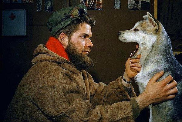 49. Güney Kutbu yakınlarında kızak köpeğinin ağzını kontrol eden bir adam, 1957.
