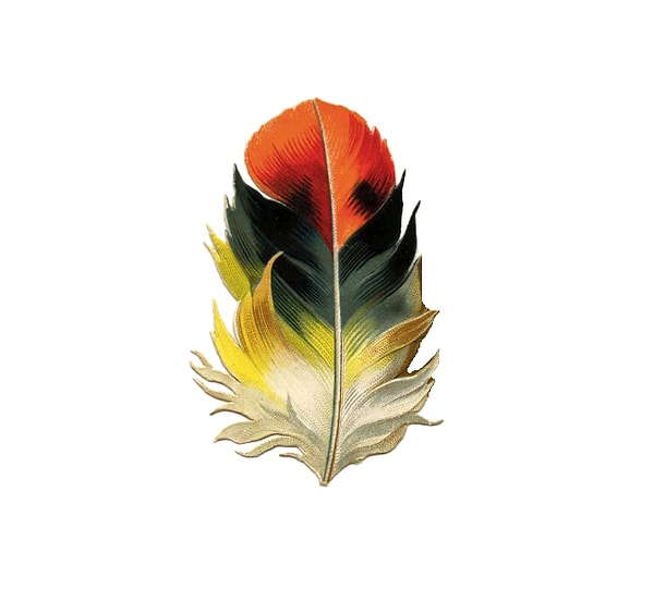 Разноцветное перо: