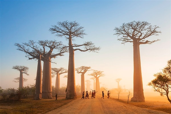 7. К какой части света относится Мадагаскар?