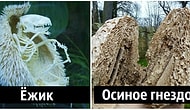 30 фото объектов, разрезанных пополам, которые раскроют невидимую сторону привычных вещей