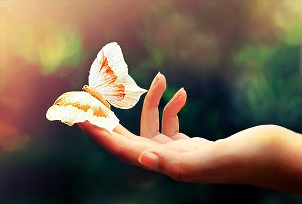 2. Выберите что-то одно: