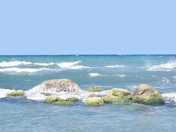 7. Какой из российских городов ближе всех расположен к Каспийскому морю?