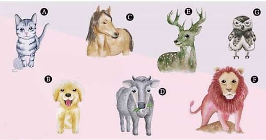 Тест: Выбрав животное, узнаете, что вас ждет в любви и на работе в ближайшее время