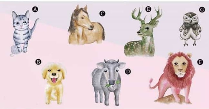 Тест: Выбрав животное, узнаете, что вас ждет в любви и на работе в ближайшее время