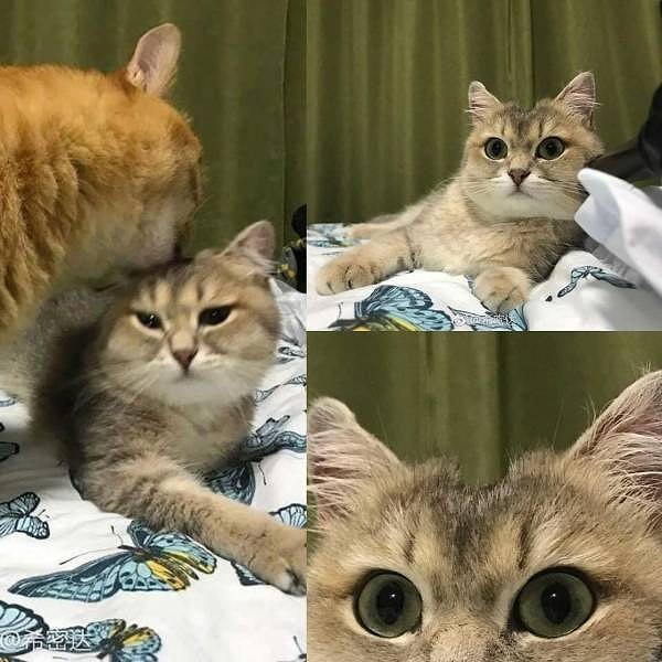 6. Что за ...?!