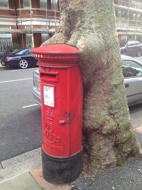 18. Мы так давно вместе, что уже неотделимы друг от друга.