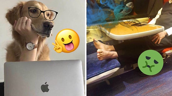 Свежая подборка из 21 смешного фото, с которой можно скоротать обеденный перерыв