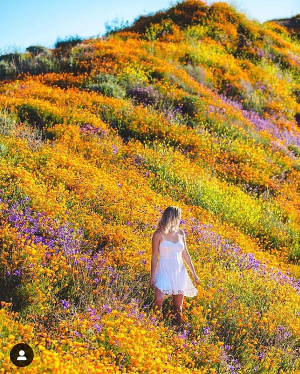 19. Конечно, у каждого калифорнийца уже есть такое фото :) Для местных это почти традиция.