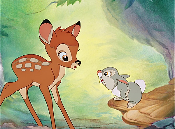 4. Вы любите ходить в походы?