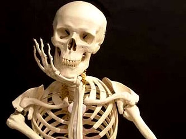 Не плохо! Вы подзабыли материал по биологии старших классов, но и этих знаний вполне достаточно :)