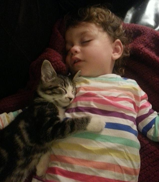 2. “My daughter and her kitten sleep like this.”