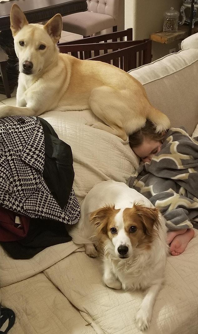 19. “Daughter fell asleep. Dogs keep her warm and safe.”