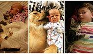 23 Adorable Photos Showing Why Every Child Should Have a Pet!