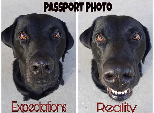 Фото на паспорт: как думаешь, что выглядишь, и что в реальности