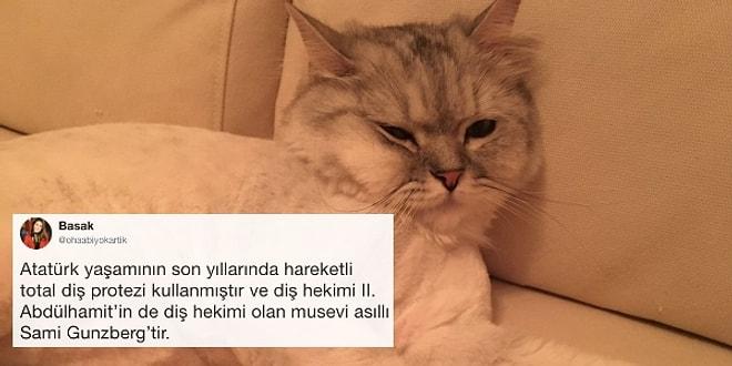 Minnoş Kedisinin Fotoğrafını ‘Bilmediğim Bir Şey Söyleyin’ Diyerek Paylaşan Fenomene Gelen Bilgi Dolu 22 Cevap