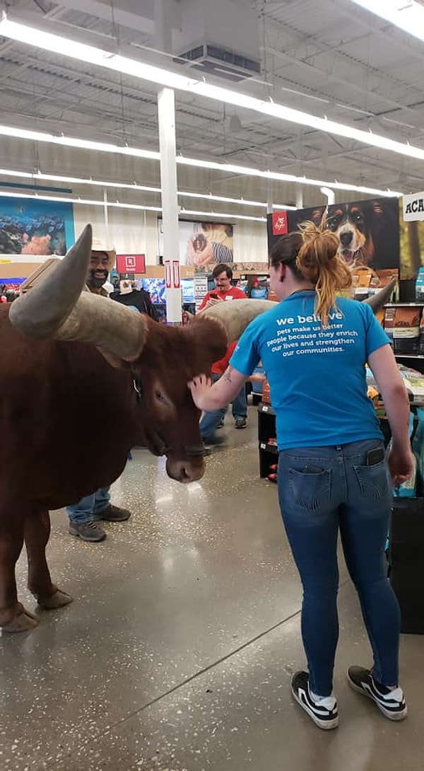 6. А еще все отметили, что животное хорошо воспитано и не проявляет агрессии по отношению к окружающим