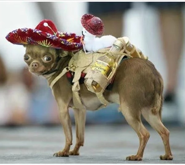 1. Что это за страна?