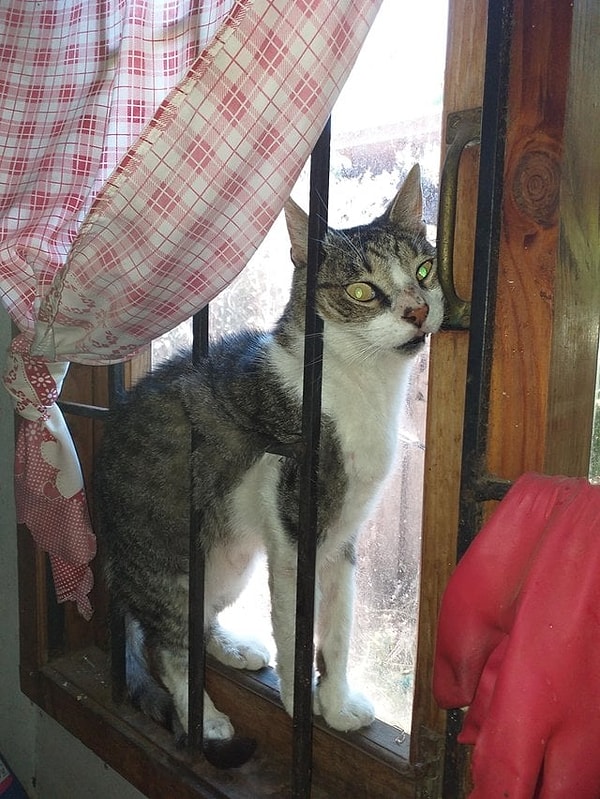 7. Ему так удобно, наверное