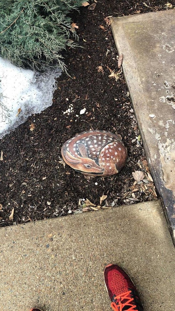 17. Это всего лишь камешек, расходимся