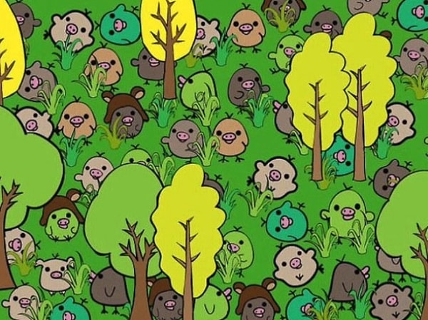 5. Среди птиц на этом рисунке спряталась всего лишь одна свинья. Смогли ее отыскать?