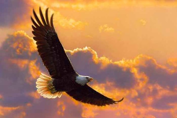 2. Сижу за решеткой в темнице сырой...