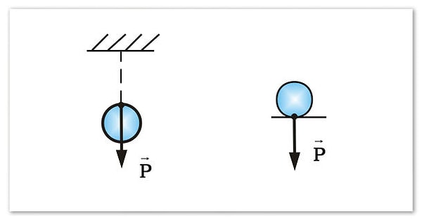 14. В чем измеряется вес?