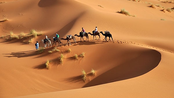 10. В пустыне никогда не выпадал снег.