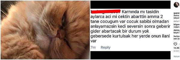 Gupse Özay, kedisi Betü'yü kaybettikten sonra uzun süre onu aramış ve birçok paylaşımda bulunmuştu.
