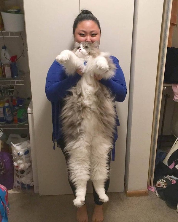 29. На этом все. Хорошего всем дня!