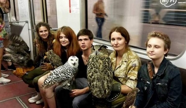 32. Главное, чтобы не запачкали вагон