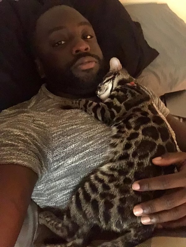 12. «Мне сказали, что бенгальские коты не любят ласку. Но Хари так не думает»