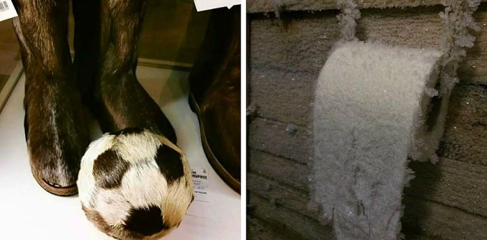 Фото из серии "Жизнь в Якутии, или Они выживали как могли"