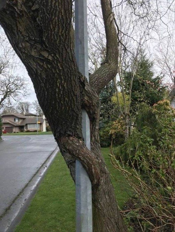 30. Когда у тебя уже полгода не было секса, ты идешь себе спокойно по улице и вдруг: