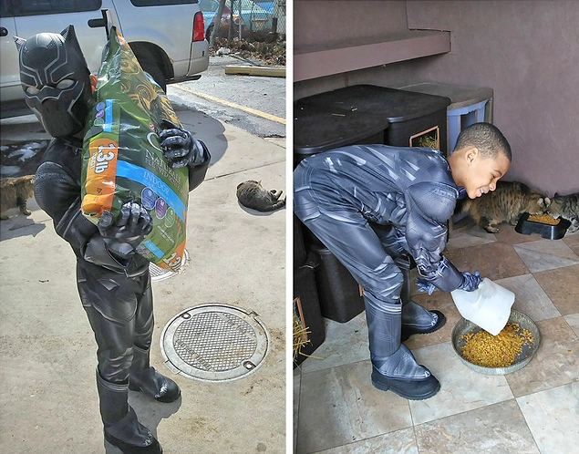 "Black Panther Sean making sure that cats have plenty of food!"