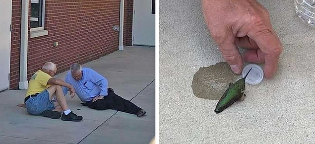 "These firemen saved a dehydrated hummingbird and were there until they made sure the bird was OK."