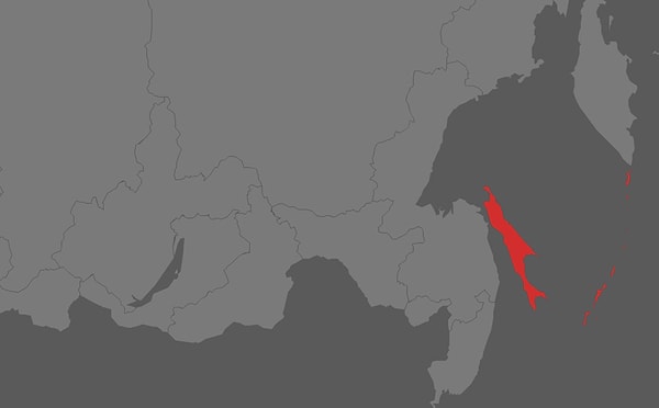 3. Какой город находится в отмеченной области?