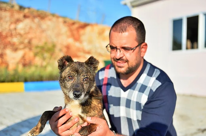 'Ayaz'ın Dünyası Aydınlandı! Mardin'de Bir Köpeğe Katarakt Ameliyatı Yapıldı