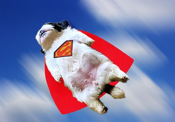 12. А еще он спасал мир