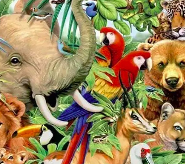 Если вы увидели красного попугая: