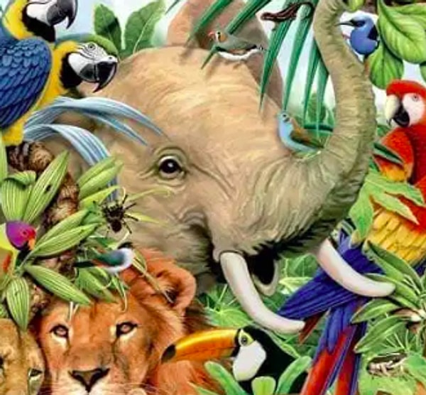 Если вы увидели слона: