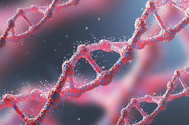 11. DNA temelli ölçülen biyolojik yaşın, gelecekte meme kanseri olma riskini belirleyebileceği bulundu.