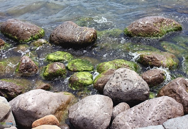 8. И напоследок.