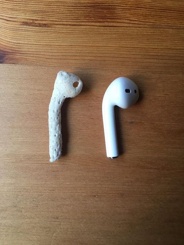 38. Ракушка замаскировалась под AirPod