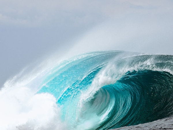 4. А как вы чувствуете себя, глядя на это фото?