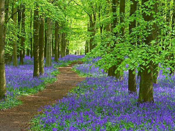 8. И ещё раз, тоже БЫСТРО!