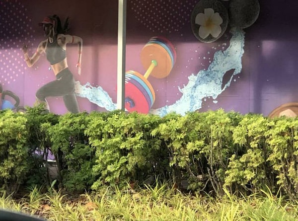 25. И последнее 😂