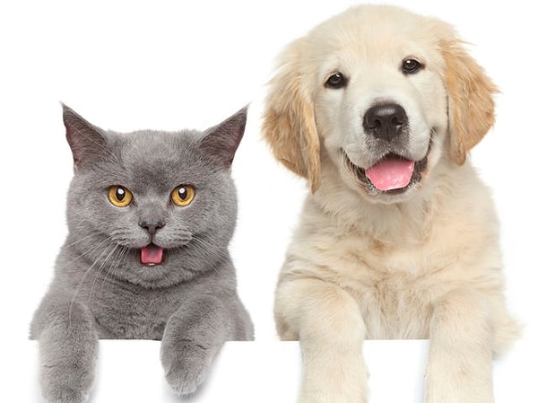 10. И последнее: просто сделайте выбор!