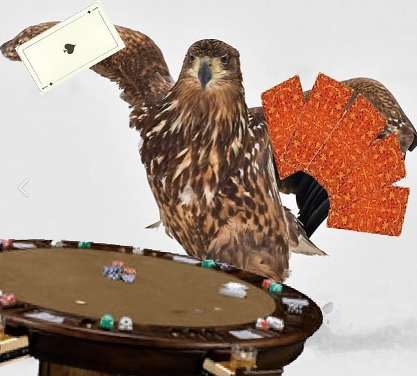 11. Король покера