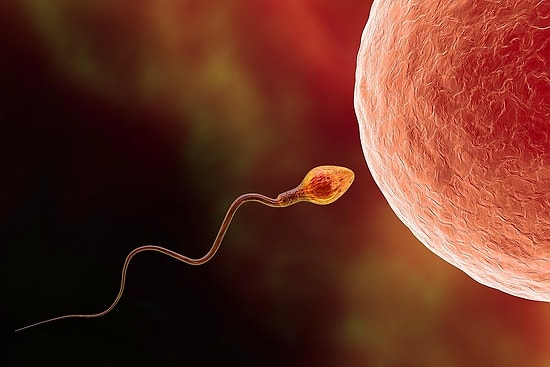 10 любопытных фактов о сперме, гуглить которые вам бы и в голову не пришло